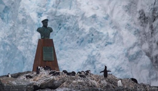 Wild Elephant Island mit Eisberg und Pinguinen