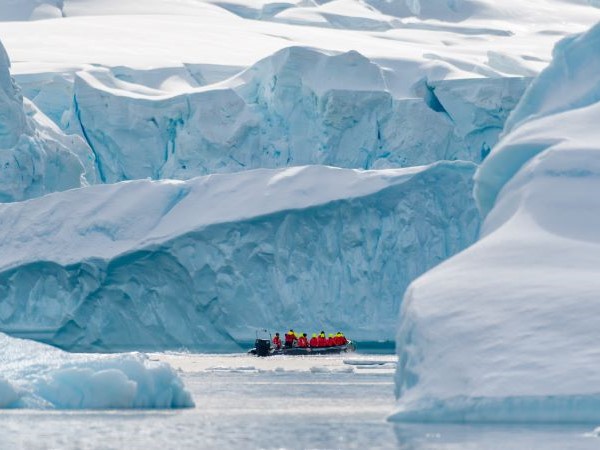 Cuverville Island Antarktis