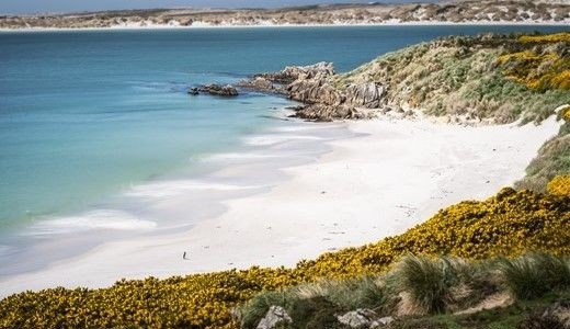 Weißer Strand, Dünen und Meer Antarktis