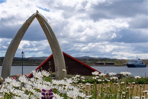 Antarktis Falkland Inseln