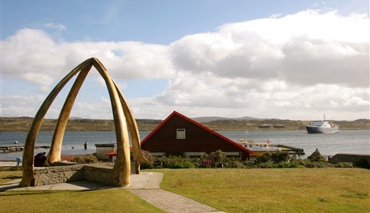 Walknochen Stanley Falklandinsel