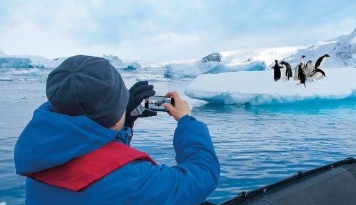 Reisender auf Schiff vor Eisschollen und Pinguinen