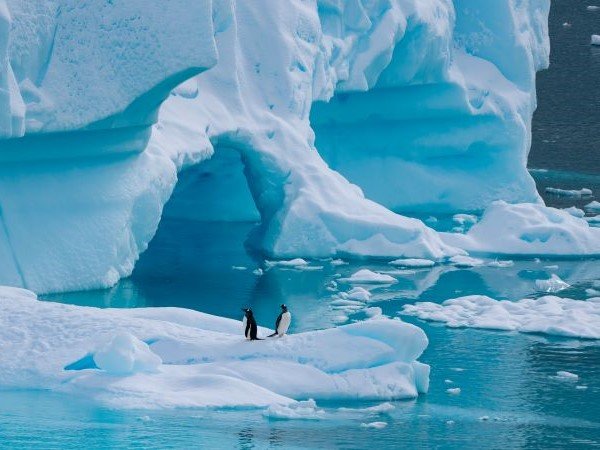 Pinguine und riesige Eismassen