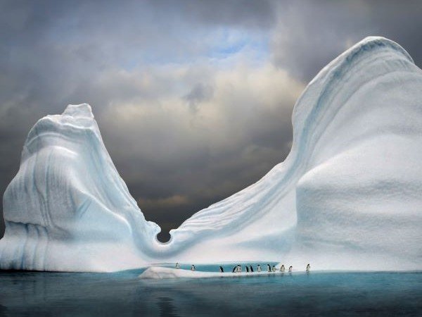 Eisberg mit Pinguinen Antarktis