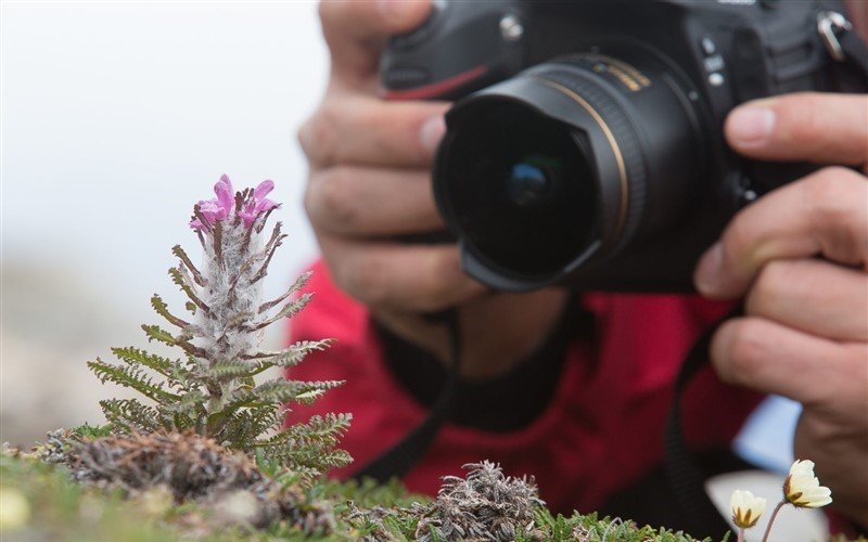 Antarktis Fotografie