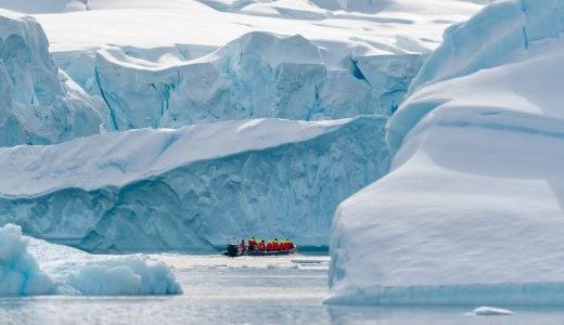 Cuverville Island Antarktis