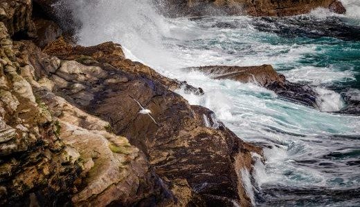 Wildes Meer Westpoint Falklands