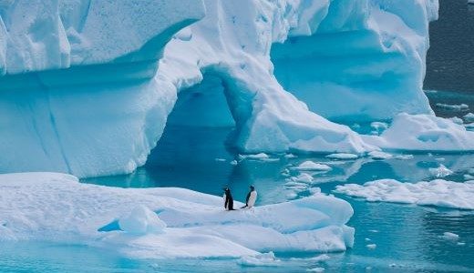 Pinguine vor Eisberg Antarktis