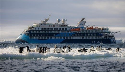 Eine Gruppe von Pinguinen versammelt sich auf einer Eisscholle, im Hintergrund das Antarktis Schiff.
