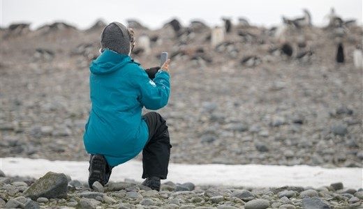 Frau fotografiert im Knien Pinguine auf Antarktis Reise