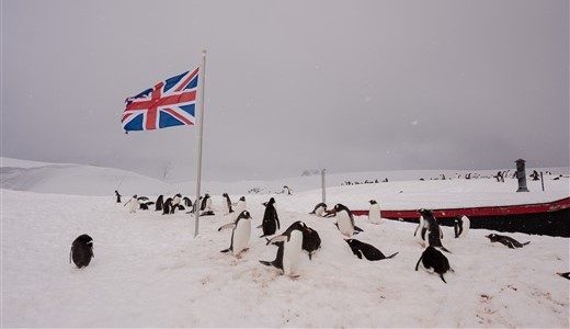 Eselspinguine tummeln sich im Schnee an englischer Forschungsstation in der Antarktis