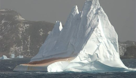 Iceberg at South Orkneys_Hadoram Shirihai