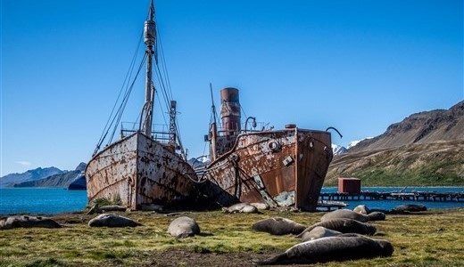 Überreste von Schiffen aus der Walfangzeit in Grytviken, Südgeorgien.