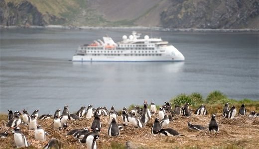 Das Schiff Greg Mortimer und Pinguine Antarktis