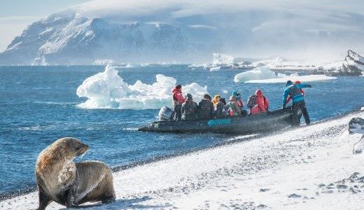 Zodiac Fahrt Eisschollen und Seelöwe Antarktis