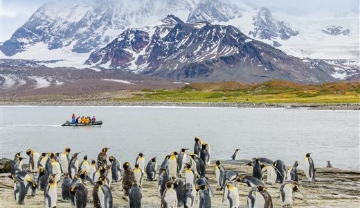 Antarktis Zodiacfahrt und Pinguine