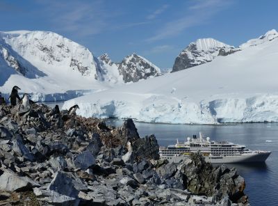 Pinguine vor Kulisse der Antarktis und der Silver Endeavour